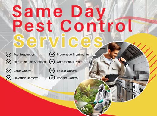 Pest Control Services Pakenham